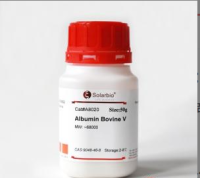 牛血清白蛋白Ⅴ（Albumin BovineⅤ）-科研用
