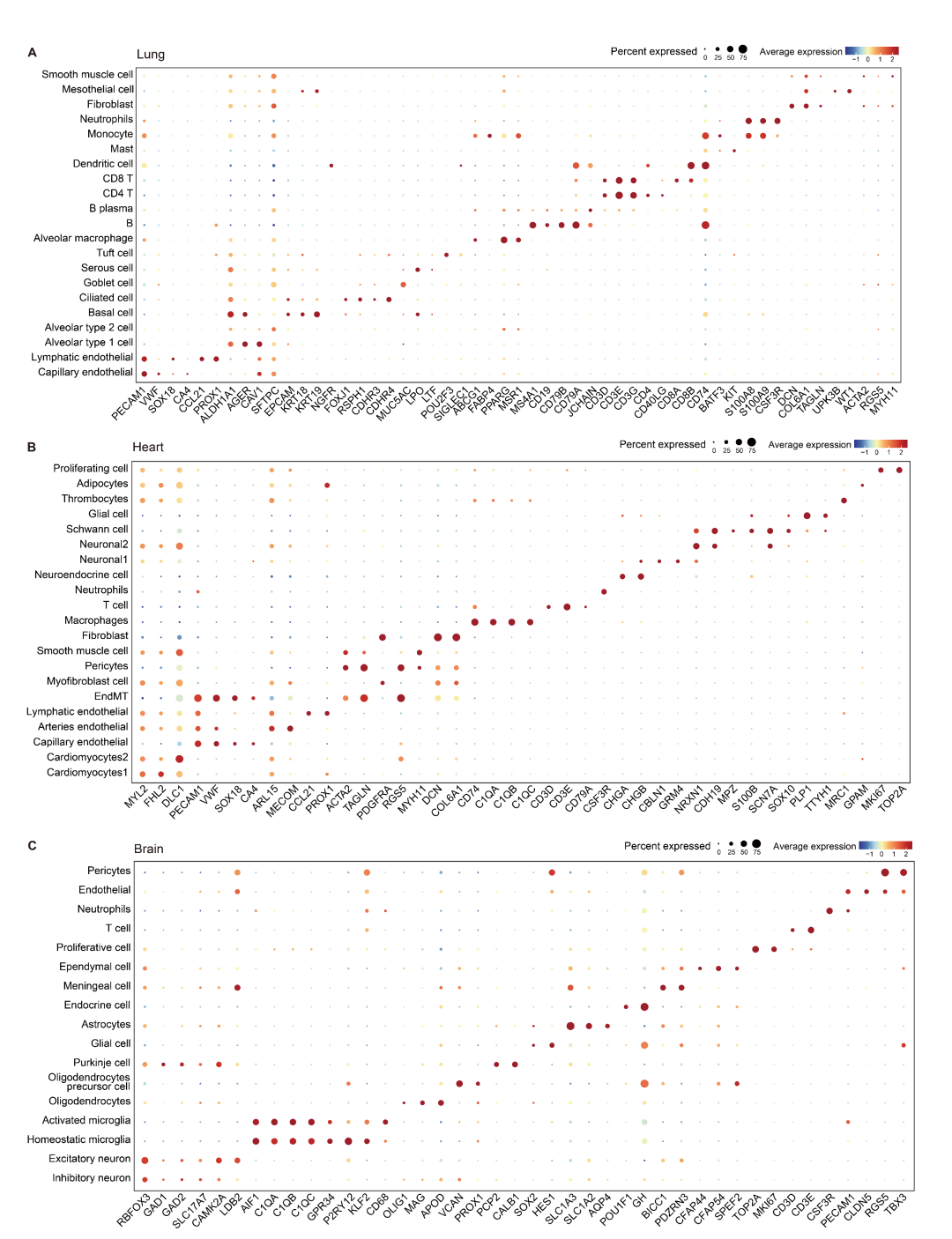 项目文章 | 单细胞+单细胞核测序揭示了表型可塑性与遗传进化的关系以及低氧适应的细胞调控机制