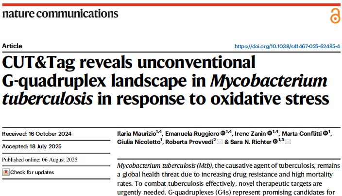 Nature Communications｜Tn5助力CUT&amp;Tag揭秘结核分枝杆菌应激机制