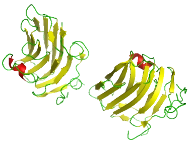 重组人Agrin (AGRN)蛋白 | Recombinan