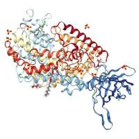 重组人15-Lipoxygenase 2蛋白 | Recombinant Human 15-Lipoxygenase 2, 1-676aa, His-tag