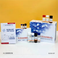 女性生殖系统多器官肿瘤组织芯片ZL-ResMTU601