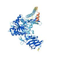 重组小鼠UGP2蛋白 | Recombinant Mouse UGP2, 1-508aa, His-tag