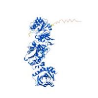 重组人PLOD1蛋白 | Recombinant Human PLOD1, 636-727aa