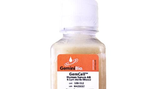 GenminiBio 人AB血清 Human AB Serum  100-318 现货