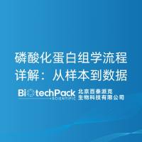 磷酸化蛋白组学流程详解：从样本到数据