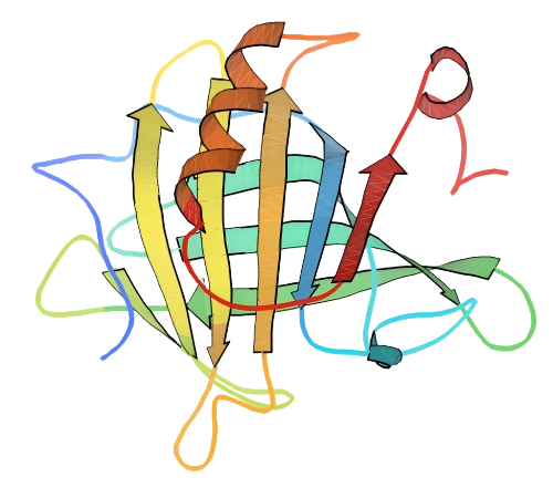 重组牛β-lactoglobulin蛋白 | Recombi