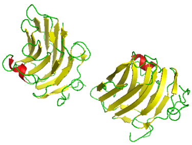 重组小鼠Agrin (AGRN)蛋白 | Recombina