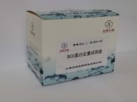 BCA蛋白定量试剂盒