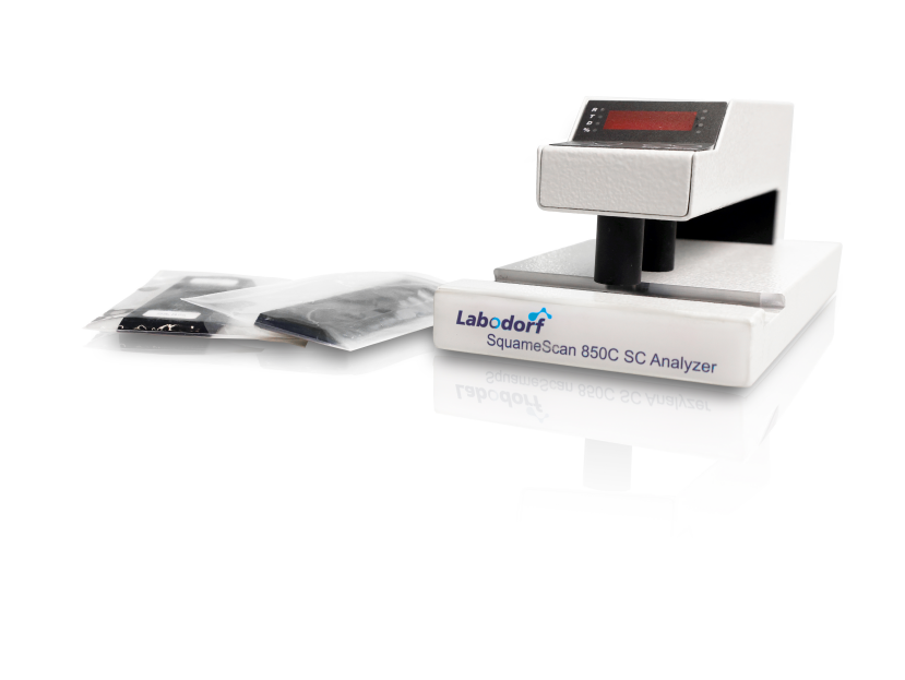 离体猪皮胶带剥离实验：亲脂性制剂影响与最优方案选择