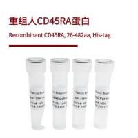 重组人CD45RA蛋白 | Recombinant CD45RA, 26-482aa, His-tag