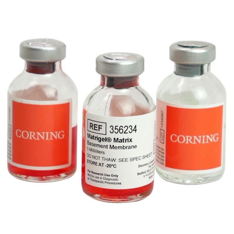 康宁 BD 356234  Corning® Matrigel® 基底膜基质，不含LDEV，5 mL