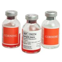 康宁 BD 356234  Corning® Matrigel® 基底膜基质，不含LDEV，5 mL