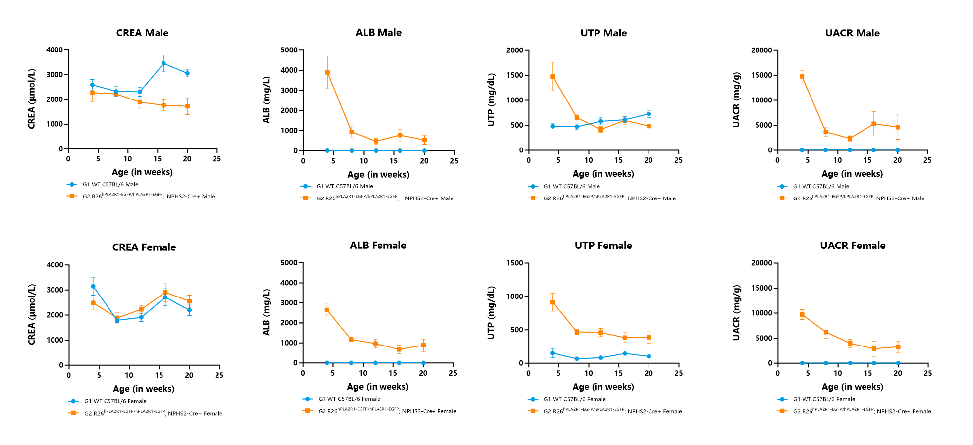瞄准PLA2R1！无需干预，南模生物自发膜性肾病模型