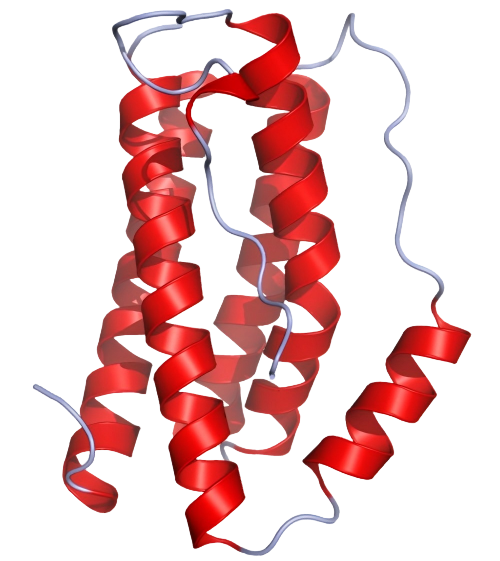 重组人IL-6/IL-6R alpha蛋白 | Human
