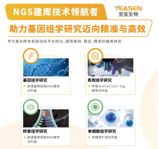 新闻图片3