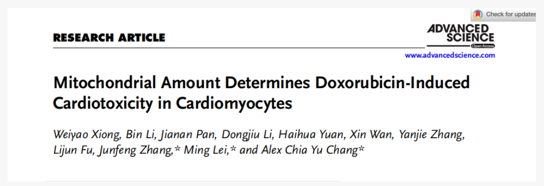 AAV靶向心脏研究指南