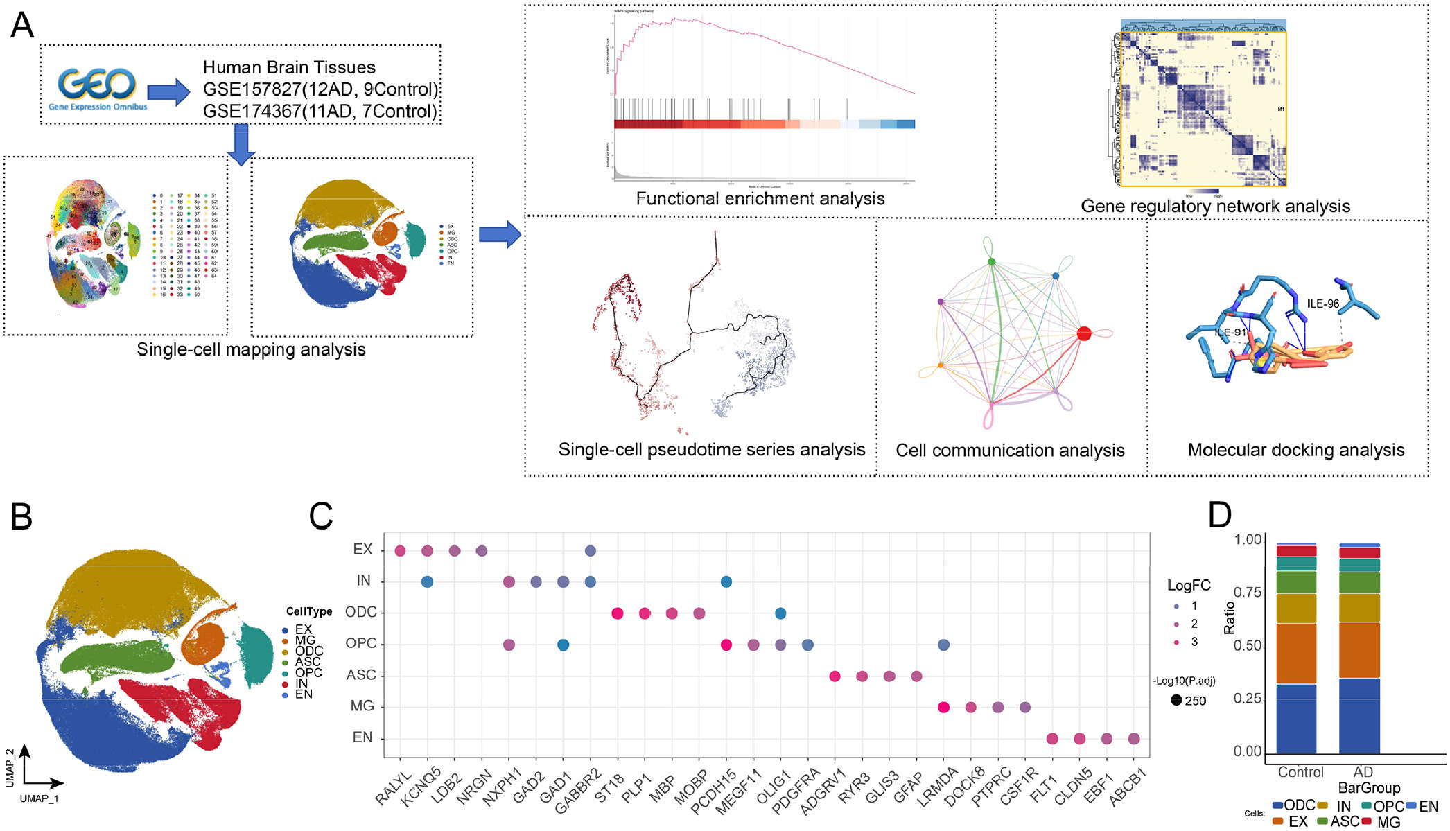 IF：8.3，纯生信！单核RNA测序+网络药理学解析神经炎症关键机制！