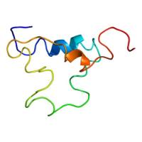 重组人IGF-I蛋白 | Recombinant Human IGF-I, 49-118aa, Fc-tag