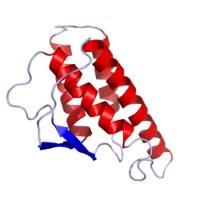 重组鸡IL-4蛋白 | Recombinant Chicken IL-4 Protein, 26