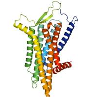 重组人GPR37蛋白 | Recombinant Human GPR37 Protein, 401