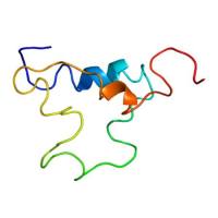 重组人IGF-I蛋白 | Recombinant Human IGF-I Protein, Avi-tag, Fc-Tag