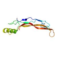 重组鸡BMP4蛋白 | Recombinant Chicken BMP4 Protein, 244