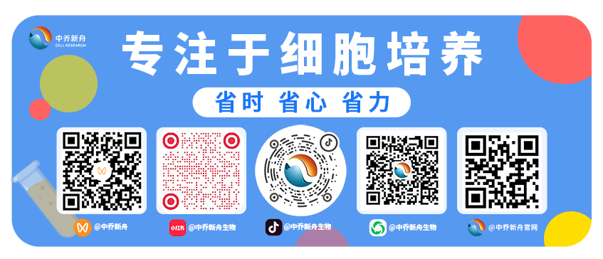 HL-60-GFP人原髓细胞白血病细胞-绿色标记