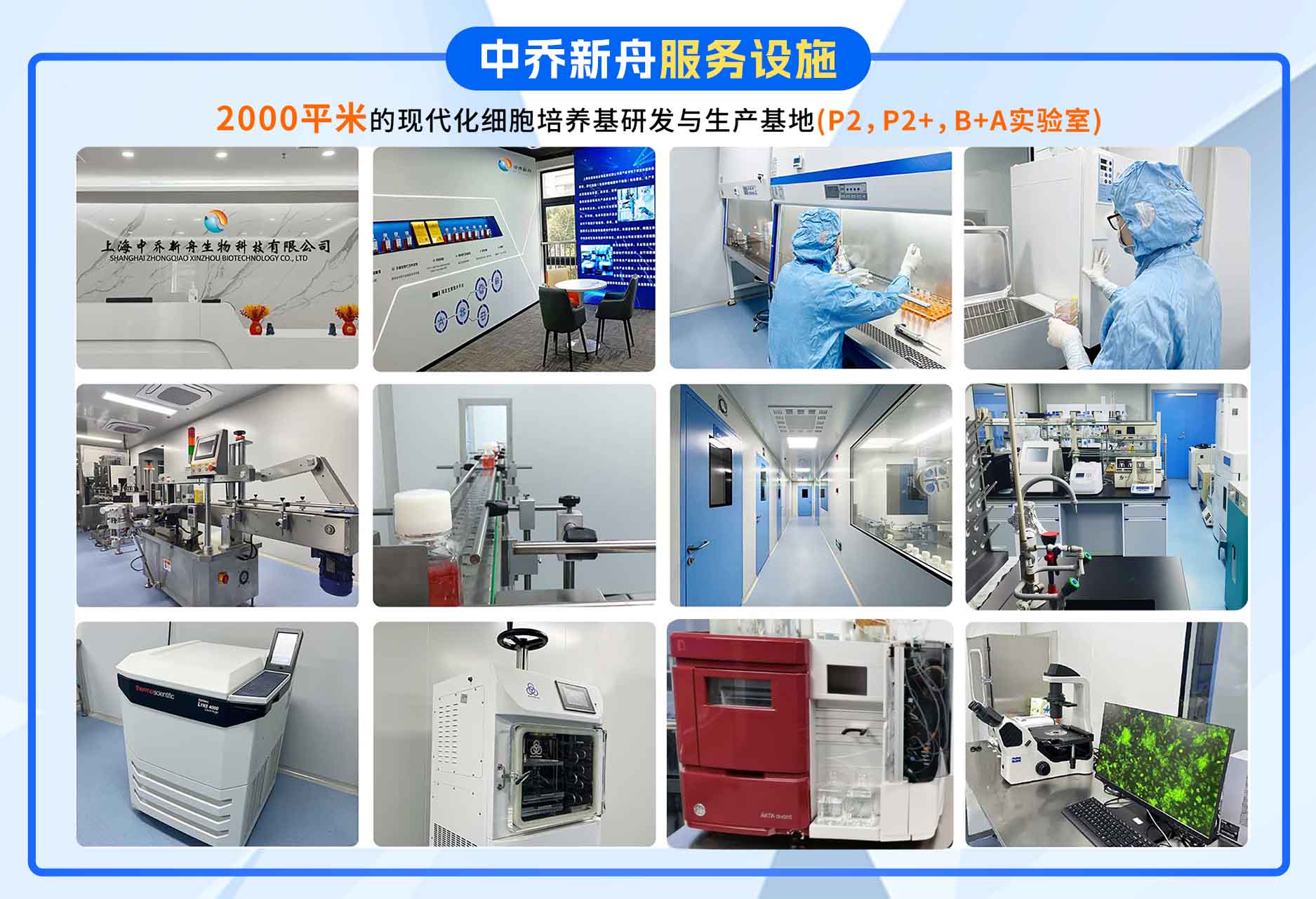 HL-60-GFP人原髓细胞白血病细胞-绿色标记