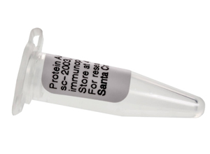 抗体纯化总翻车？Protein A/G PLUS-Agarose到底神奇在哪？