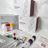 人(Human)轮状病毒(RV) ELISA检测试剂盒