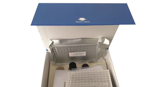 深度解析：ELISA实验内源性干扰的来源、影响与优化方案