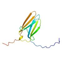 重组人NTRK3蛋白 | Recombinant Human NTRK3, 534-839aa