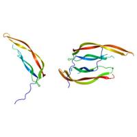 重组小鼠Platelet-Derived Growth Factor BB/PDGF-BB蛋白 | Mouse PDGF-BB, 82-190aa