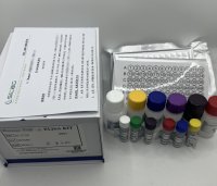 人肿瘤坏死因子α(TNF-α)ELISA检测试剂盒