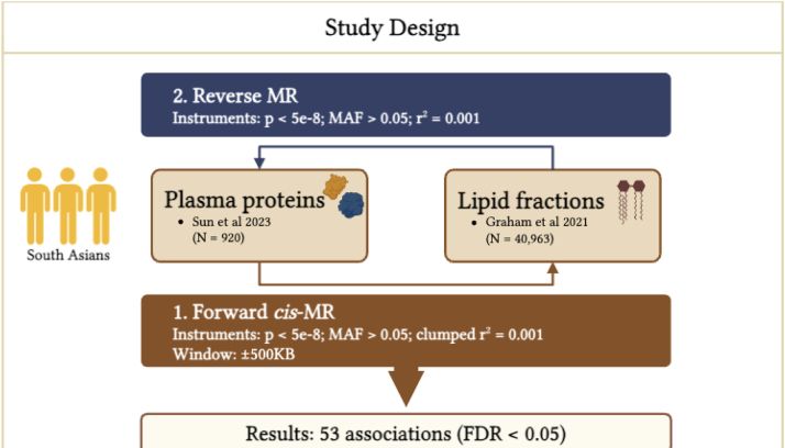 IF 6.2！这套“万金油”MR组合拳也太强了！【两样本MR +共定位+多变量MR】三连发，直接锁定关键因果信号！