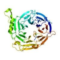重组人EED蛋白 | Recombinant Human EED, 142-441aa, His-tag