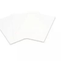 1703932伯乐厚印迹滤纸吸水性杂交纸7.5X10CM生命科学耗材Bio-Rad