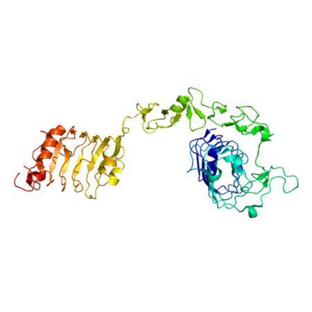 重组人IGF1R蛋白 | Recombinant Human IGF1R, 31-932aa, His-tag