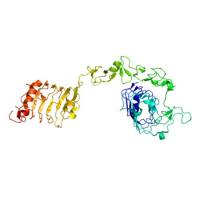 重组人IGF1R蛋白 | Recombinant Human IGF1R, 31-932aa, His-tag