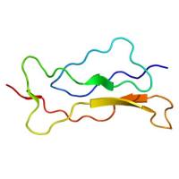 重组小鼠Interleukin 15 Receptor Alpha (IL15Ra)蛋白 | Recombinant IL15Ra, 33-205aa, hFc-tag