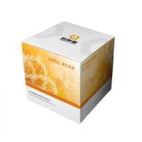 StarLighter dsDNA 高灵敏检测试剂盒（FS-T1002）