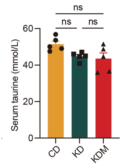 Nature子刊力证：牛磺酸精准检测方案，解锁疾病研究新机制