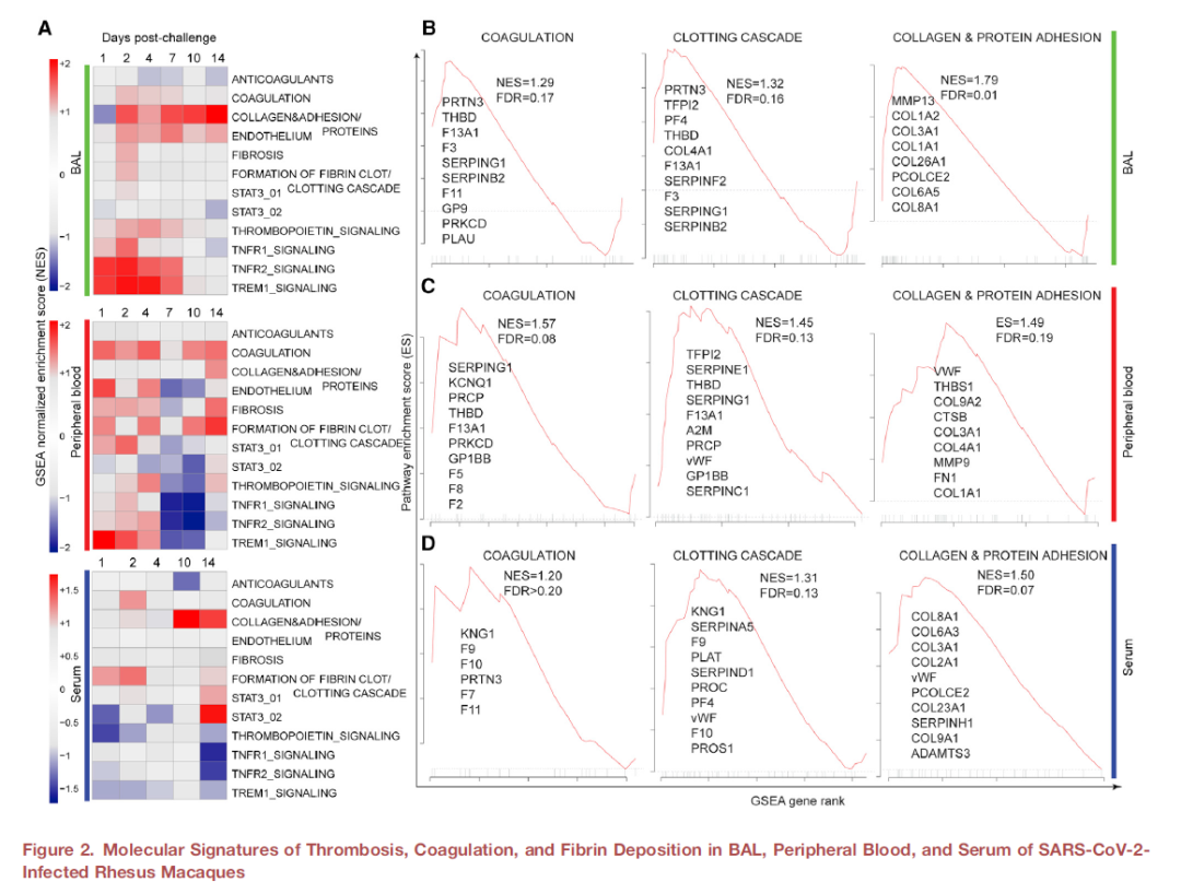 快速入门基于NGS的感染机制研究
