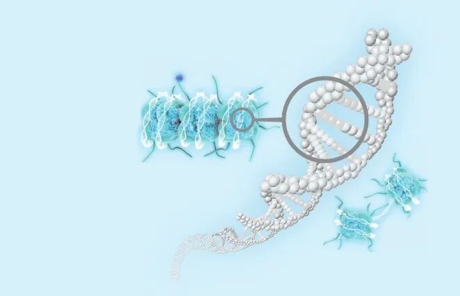 甲基化路线怎么选？BS与酶法转化新对比数据出炉