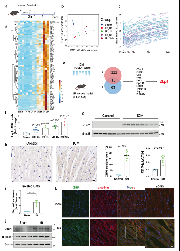 6389802446277142948058165