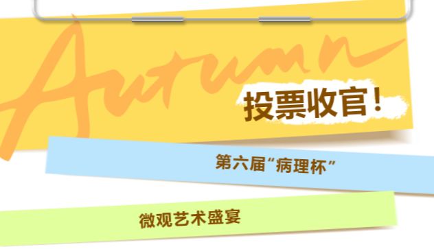 结果公示丨第六届“病理杯”微观艺术盛宴，人气佳作新鲜出炉