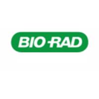 1703969伯乐超厚转印滤纸19x18.5cm 30张/包蛋白质印迹膜Bio-Rad