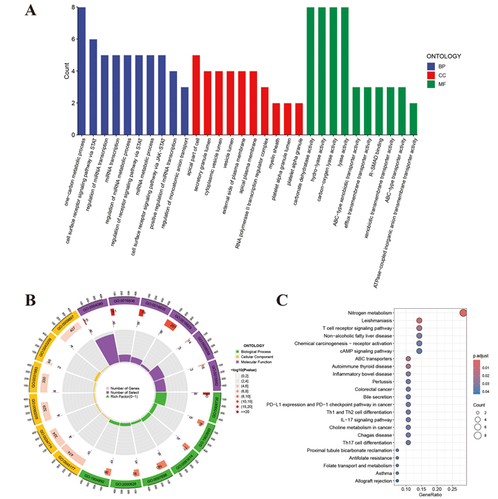 6389811906010019864610715