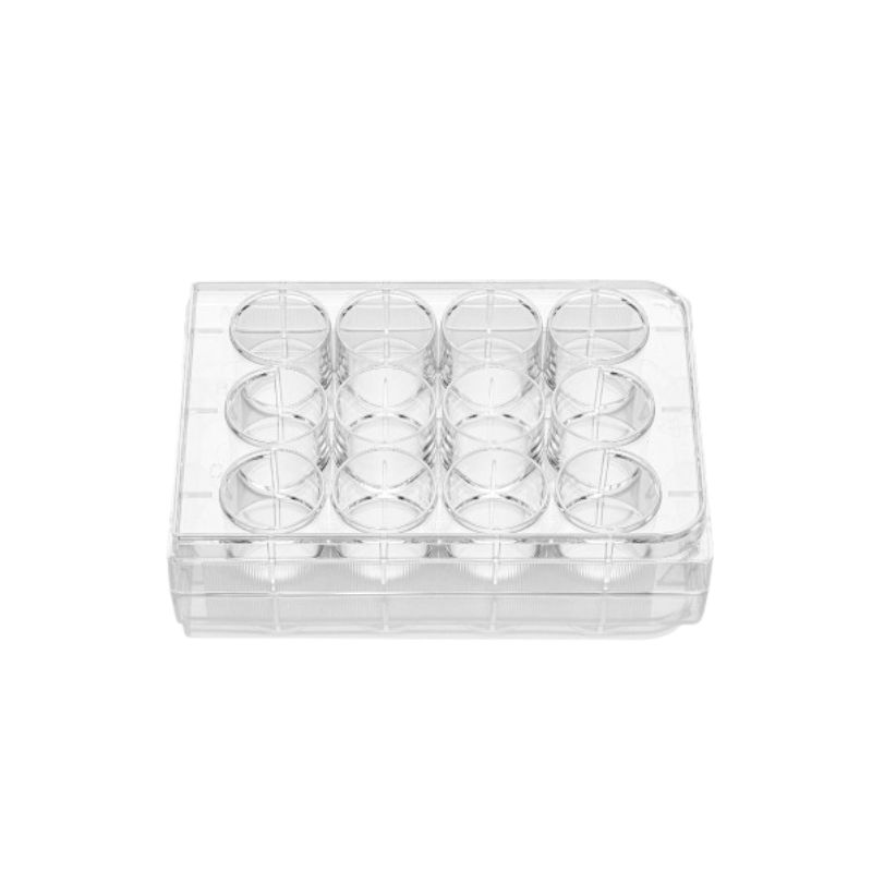 12孔细胞培养板